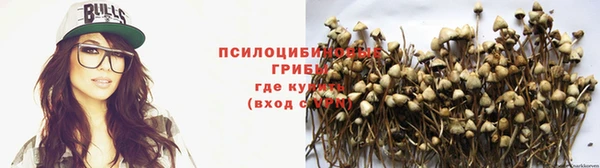 мяу мяу мука Белокуриха
