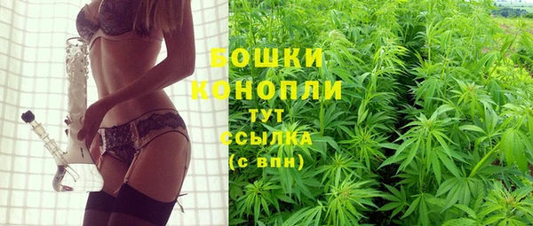 мяу мяу мука Белокуриха