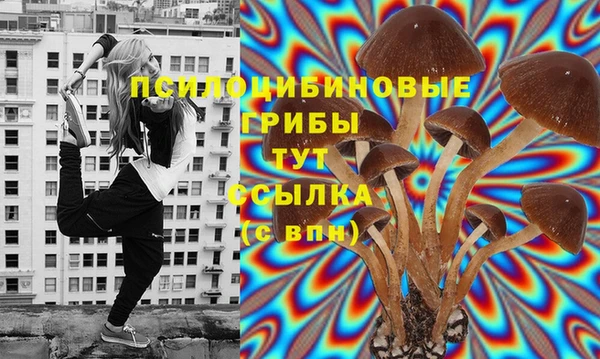 СК Беломорск