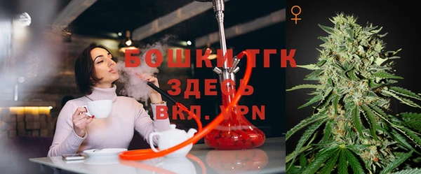 СК Беломорск